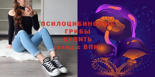 гашик Володарск