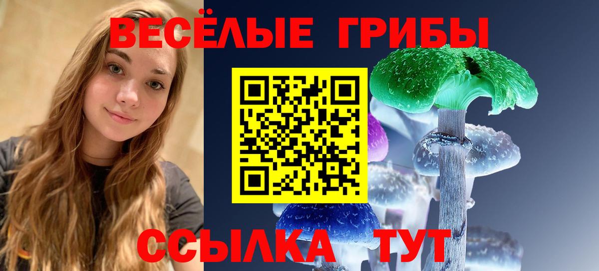 Галлюциногенные грибы Psilocybe Выкса