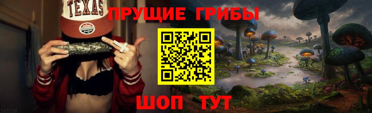 Галлюциногенные грибы Cubensis  Вход с VPN  Выкса 